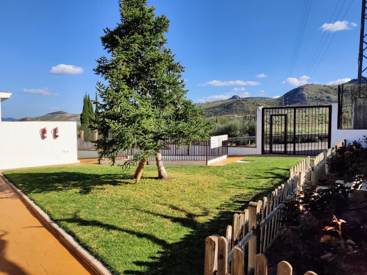 Apartamento Rural Villa Aurora Luque Bagian luar foto