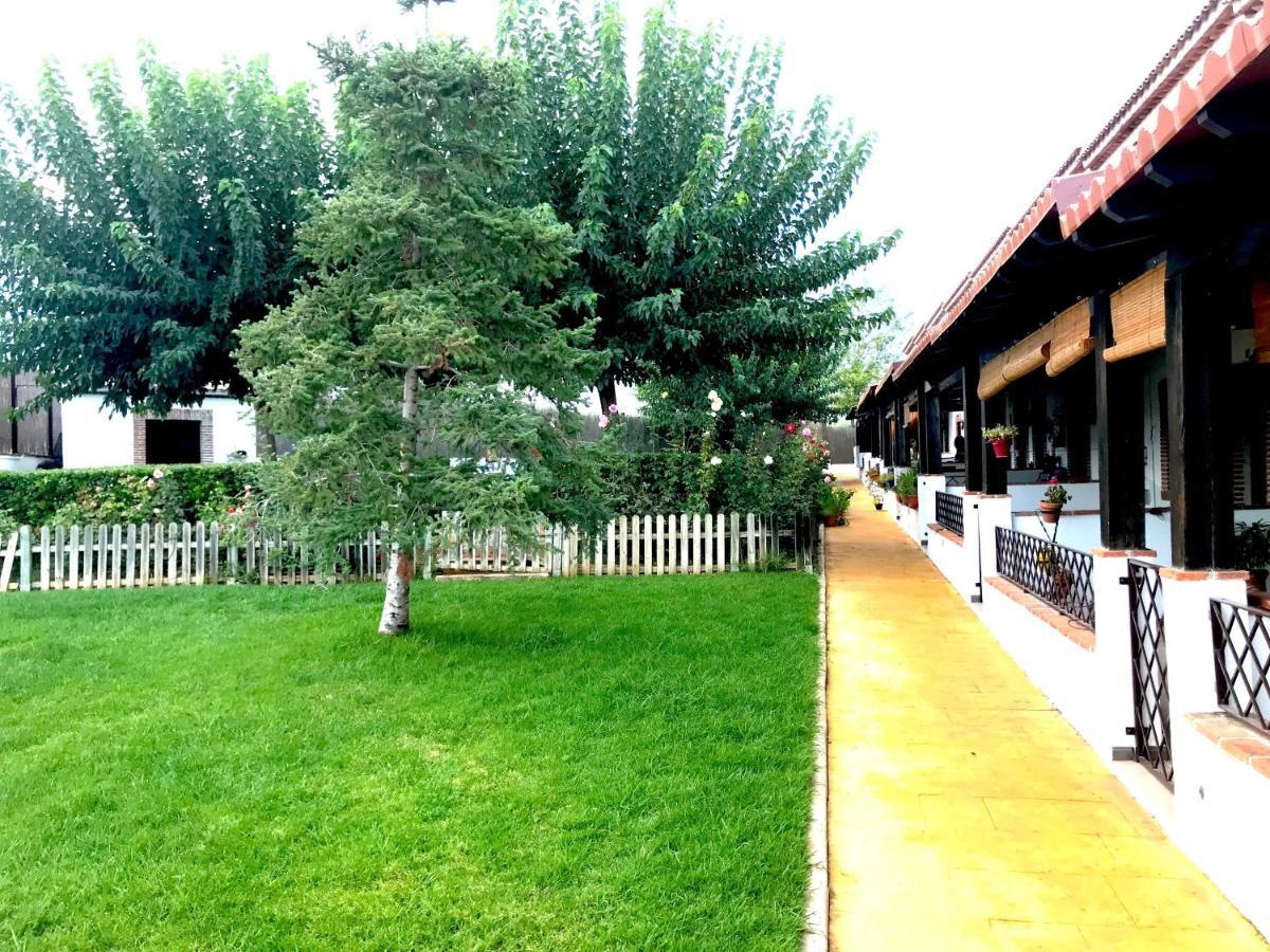 Apartamento Rural Villa Aurora Luque Bagian luar foto